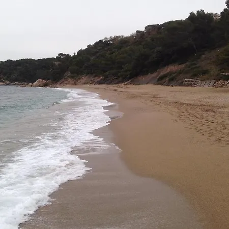 Proches De La Plein Soleil * Le Pradet